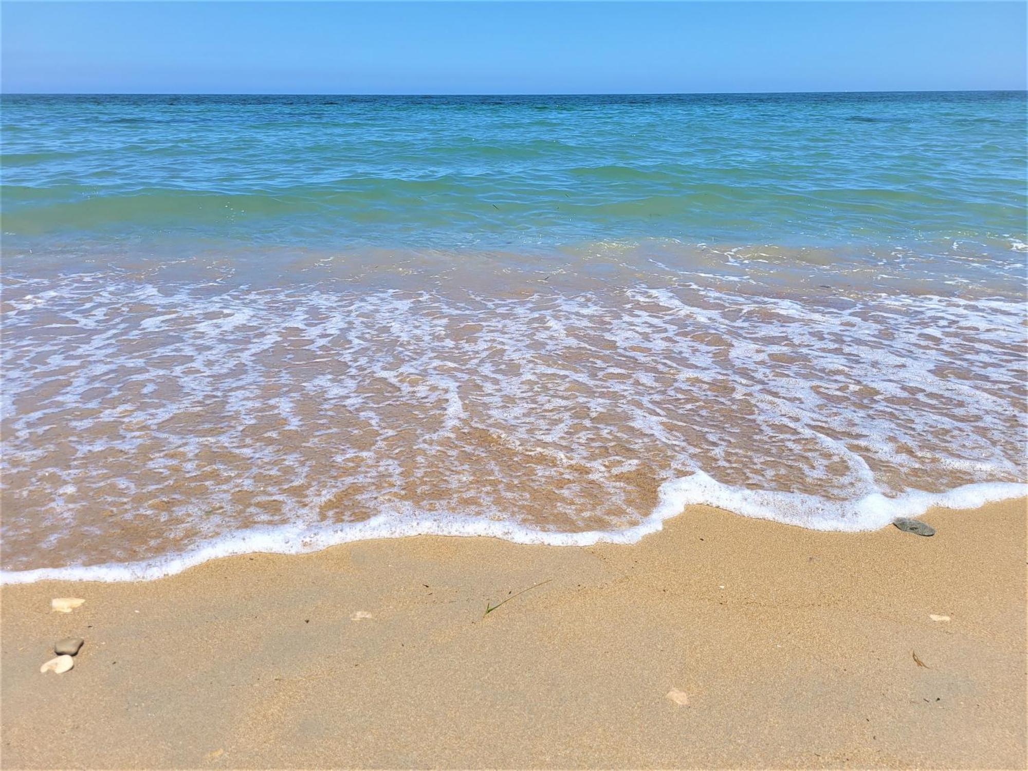 Villa At Seafront With Private Garden-655 데니아 외부 사진